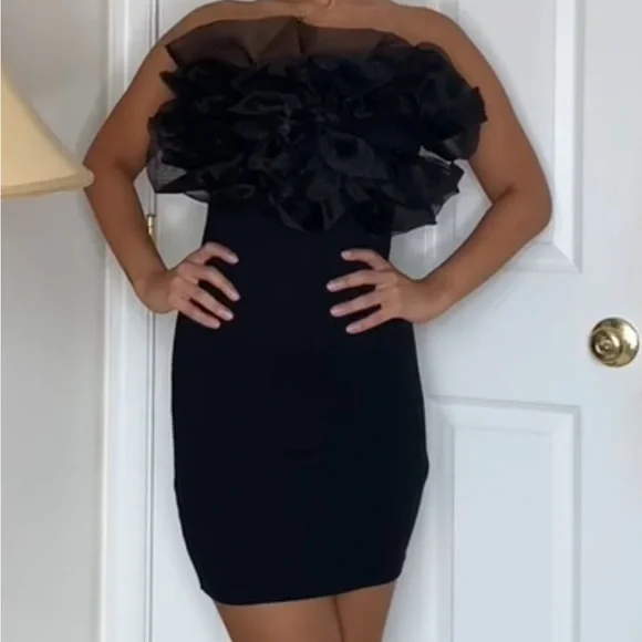 Rib organza dress from Zara - Picture 3 of 3